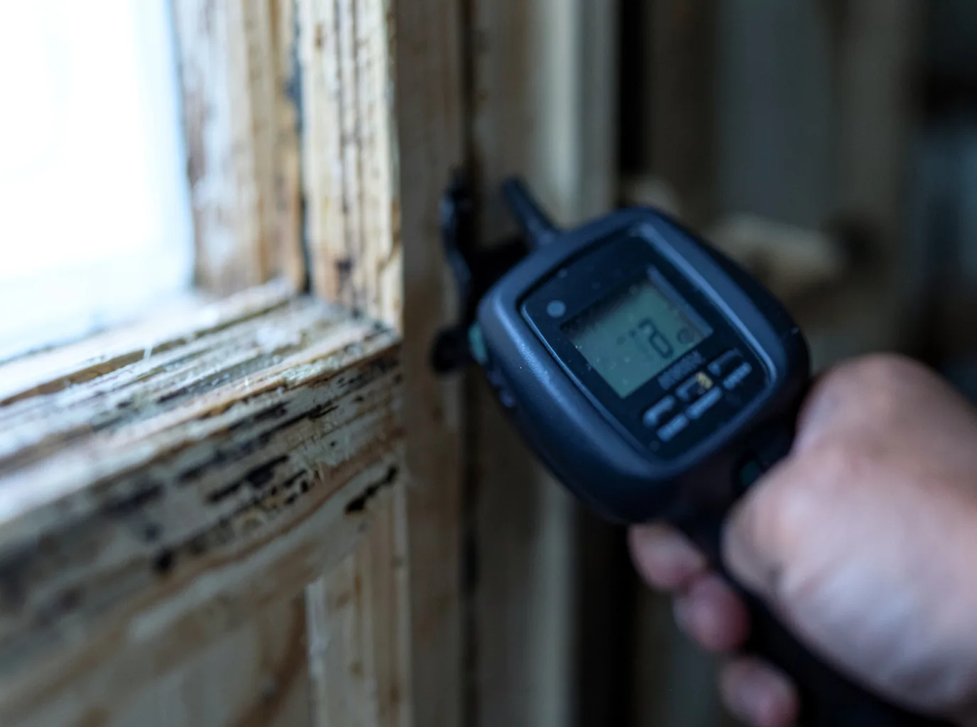 Moisture Inspection And Documentation in Kinney, MN